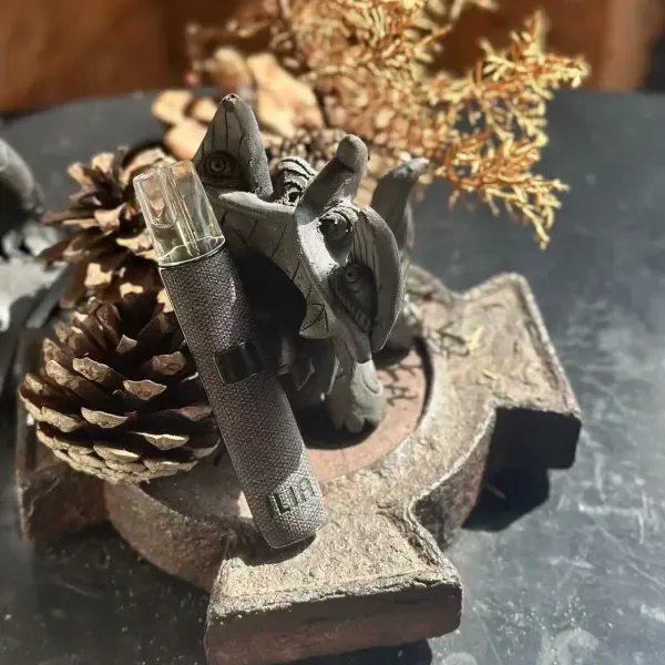 哩亞 一代皮革主機